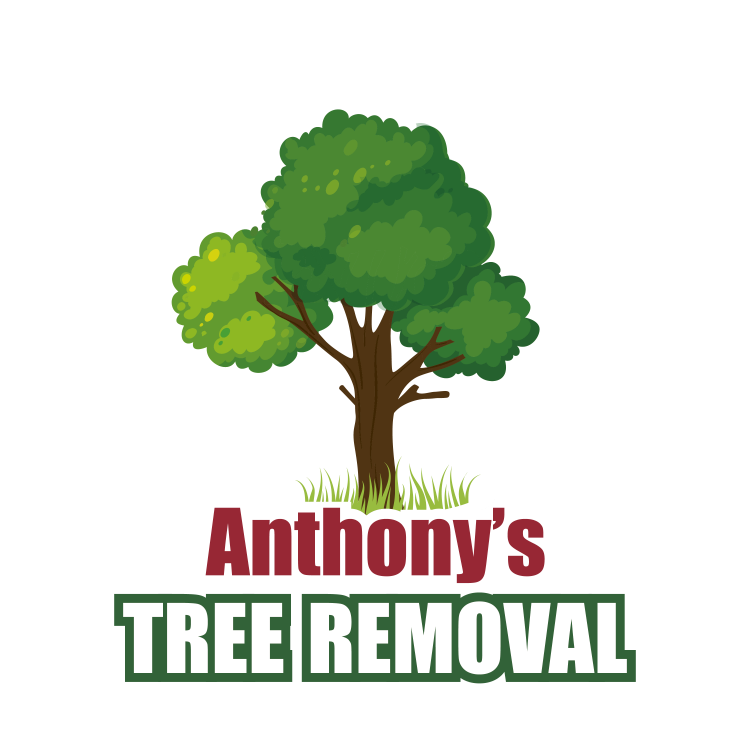 Quality Tree Services in Bloomington, Indiana & Surrounding